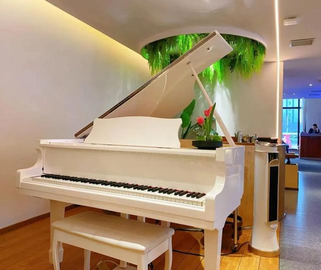 广州最有潜力的粤菜餐厅，三代餐饮世家的90后老板在长春做创意粤菜