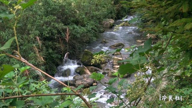 洋姜的做法大全，如何用洋姜做美食（遇见洋姜抓紧囤）