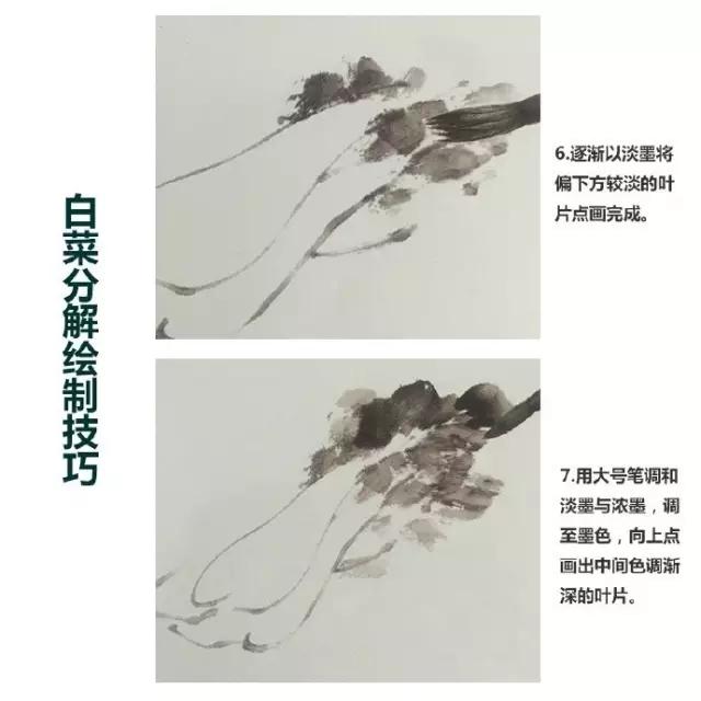 水墨画白菜的画法步骤，写意蔬果入门画法之白菜、辣椒的画法步骤