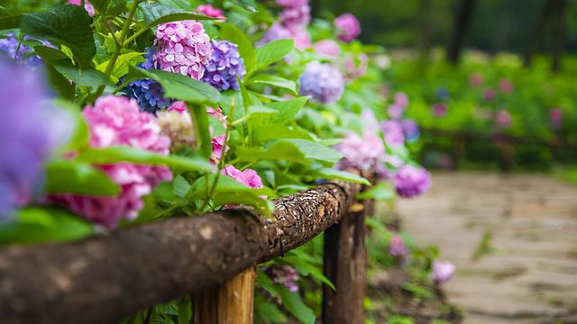 淮南是哪个省的，安徽淮南市属于哪个市（为何淮南房价如此之低）