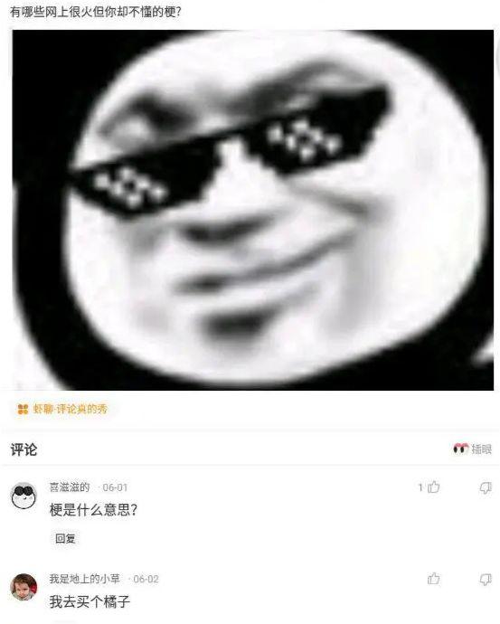 那些年我看到的神回复，有哪些网上很火但你却不懂的梗