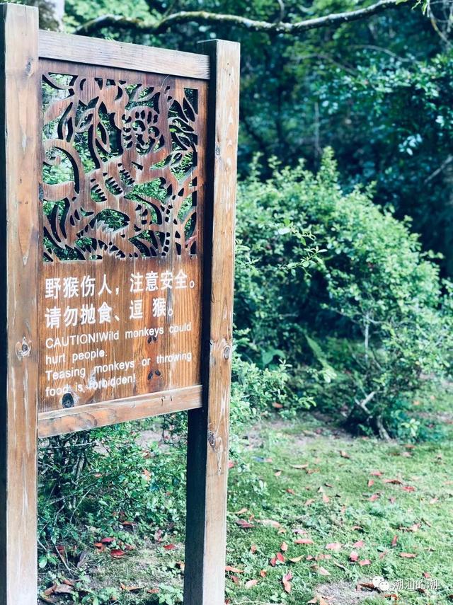 闽北之行武夷山一线天，武夷山旅记（武夷山：我家最窄仅30厘米）