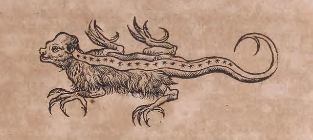 什么样的蝾螈有毒，被北京海关截获的19只火蝾螈