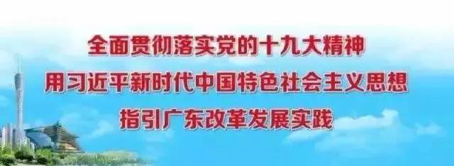 导向车道线是什么意思，导向车道线须遵守