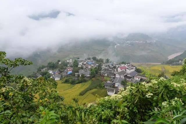 清末民初凉山彝族，清朝冷知识——清朝时和彝族的关系