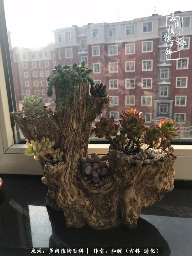 买肉，买肉的正确方法和注意事项