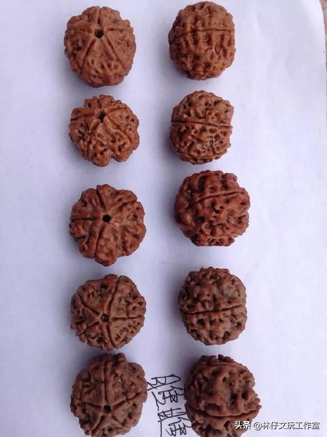 金刚菩提手串如何挑选，怎么选购一条金刚手串呢