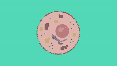 人死后会怎么样，人死后会发生哪些变化（人死后身体会发生什么）