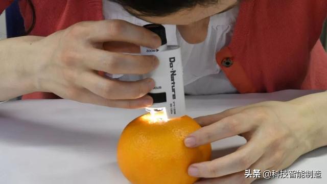 儿童科学探索显微镜，启发孩子科学探索思维