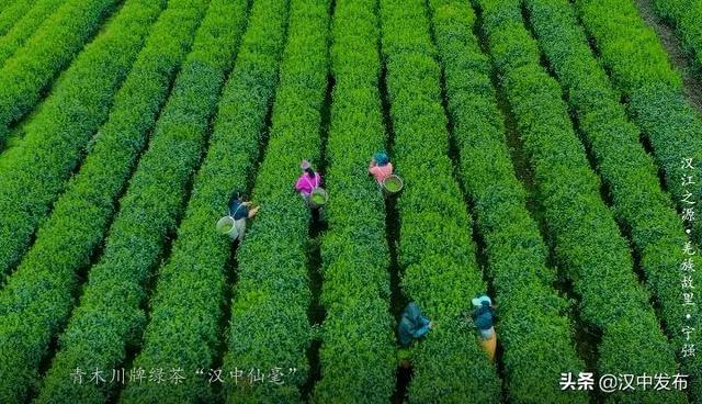 汉江文化旅游城，三千里汉江第一城