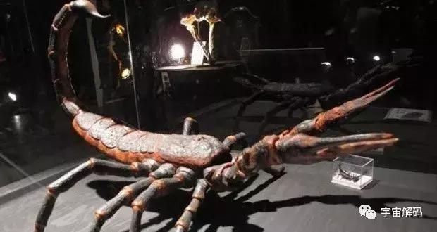 世界上最可怕的十大怪物，盘点地球史上十大巨型怪物