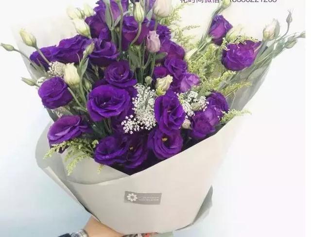 初学者的首选插花应该用哪些花材，需要进购哪些花材