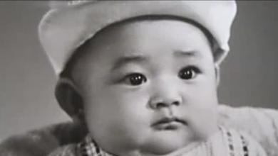 王志飞演的破案电视剧有哪些，56岁王志飞因演扫黑风暴道歉