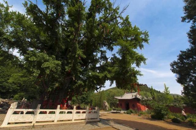 从山东出发3天2夜旅游景点推荐，超全的吃住行攻略来了