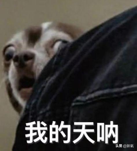 李响孙骁骁公开恋情，孙骁骁李响分手原因曝光（主持人李响大婚新娘不是孙骁骁）