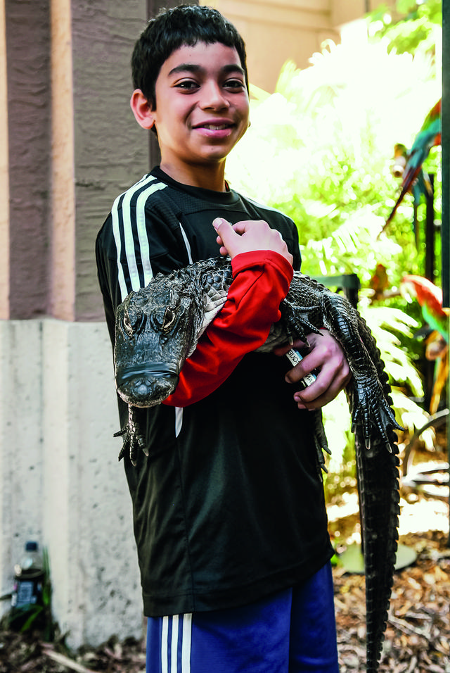 迈阿密旅游攻略，迈阿密旅游详细攻略（美丽的迈阿密是个怎样的地方）