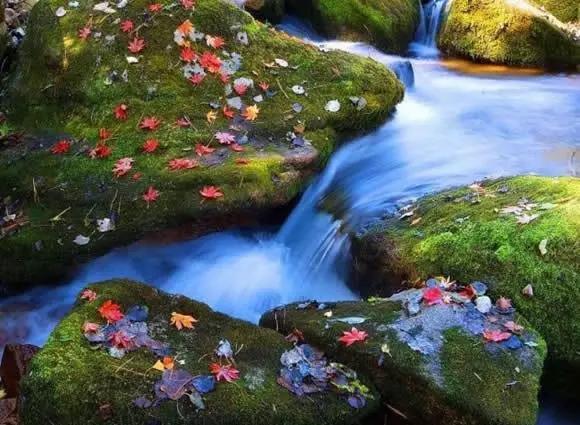 辽宁旅游必去的地方是哪里，辽宁这几处网红打卡景点