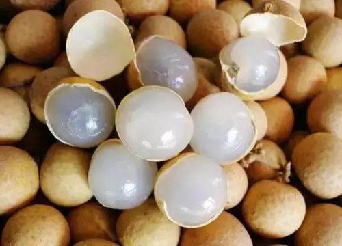 龙眼的种植技术方法，龙眼的栽培方法与田间管理