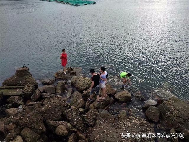 长岛当地渔家乐旅游攻略，<第二期>新鲜出炉