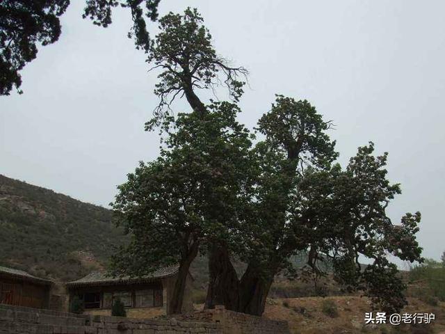 秦二世陵遗址公园，西安旅游秦始皇陵攻略