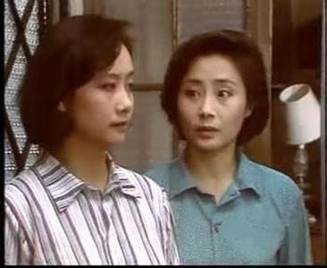 九十年代大陆电视连续剧渴望，《渴望》-1990年