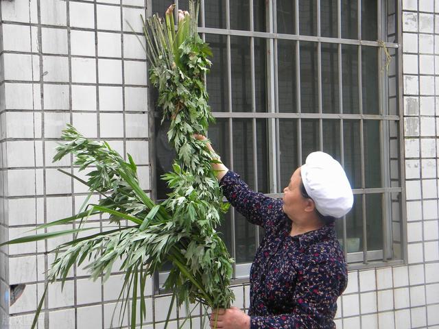 端午节大门口挂艾草有哪些讲究，牢记“3放2不放”传统规矩不能忘