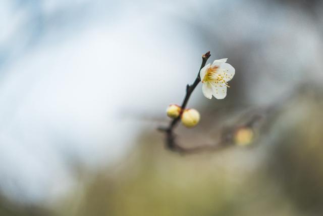 这5点决定了女人在婆家的地位，女人在婆家地位的高低