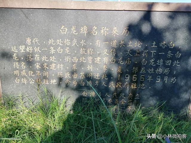 邳州城郊运河遗址，江苏邳州1000年建村史