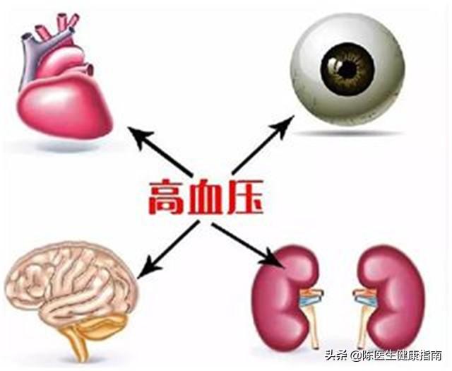 肥胖补叶酸(叶酸长胖)