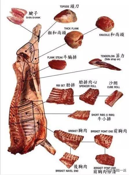 吃牛排的必知小知识，市面上的各种牛排你真的认识