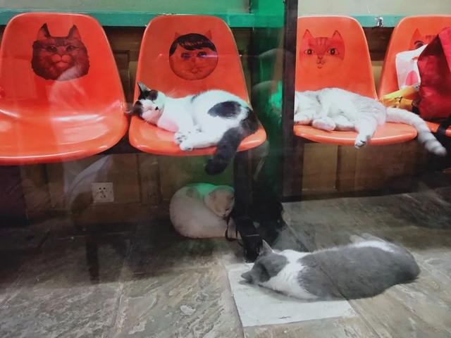 厦门网红打卡地不凡之地，厦门这些网红地