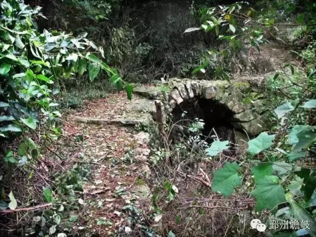 宁波有几个古道可以爬山的，宁波这11条登山健身步道你走过吗