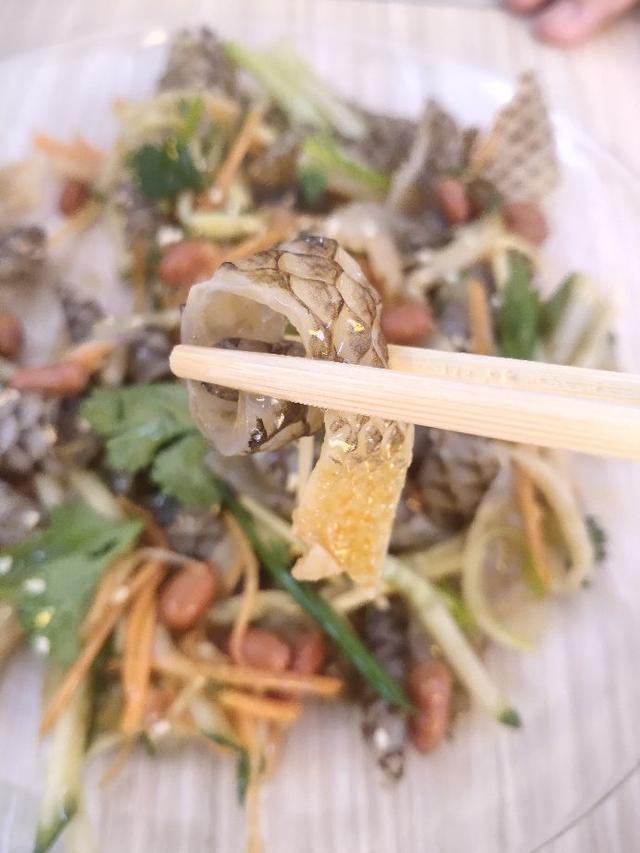 顺德大良美食攻略，顺德大良步行街美食攻略（我去顺德大良一天吃了什么）