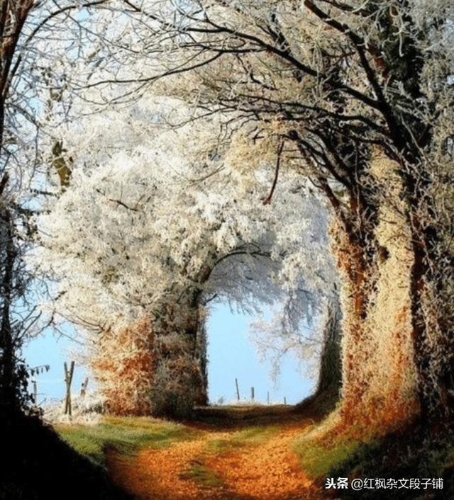 最撩人的土味情话，25句最撩人的土味情话（最简单的浪漫最土味的情话）