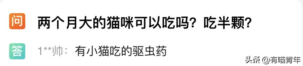 绿萝对猫有毒吗，猫咪吃了一口绿萝