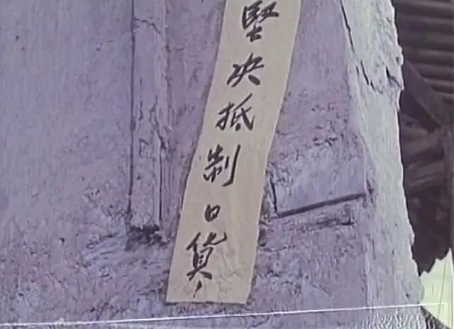 林家铺子创始人林楠身价，《大连品牌力量》专访大连林家铺子食品股份有限公司董事长林楠