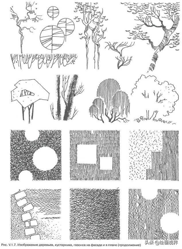 超级简单的植物线描图怎么画，手绘植物很难画