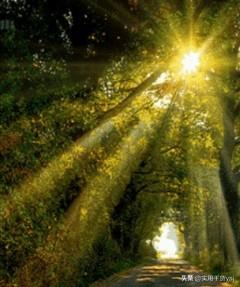 20句描写春的诗句，写春的诗句欣赏