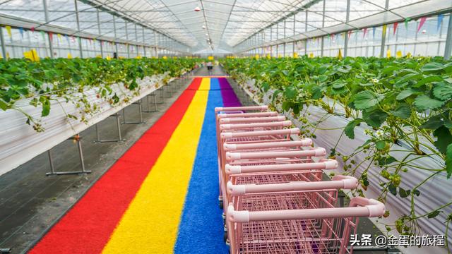 世界闻名的十大魔鬼公路，只有三种颜色溧阳1号公路