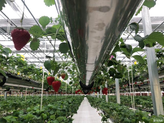 石竹山风景名胜区，福州踏青旅游景点排名