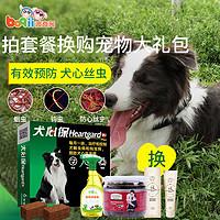 可爱的柯基怎么养成的，一步到位教你养好柯基狗