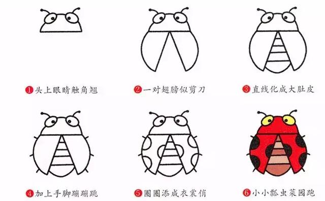 简笔画昆虫步骤，各种昆虫简笔画大全