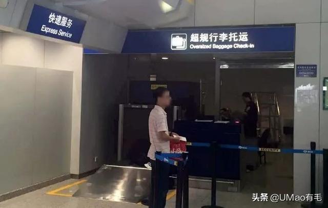 飞机托运猫咪流程，需要办理什么手续