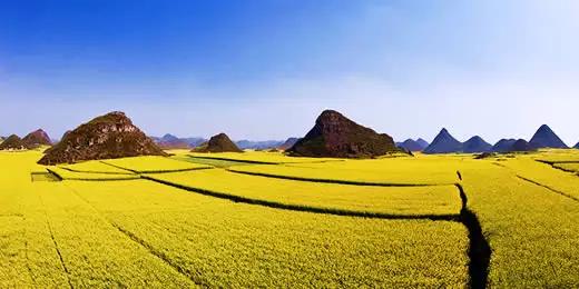 五一适合去哪旅游，五一带你去哪里旅游比较好