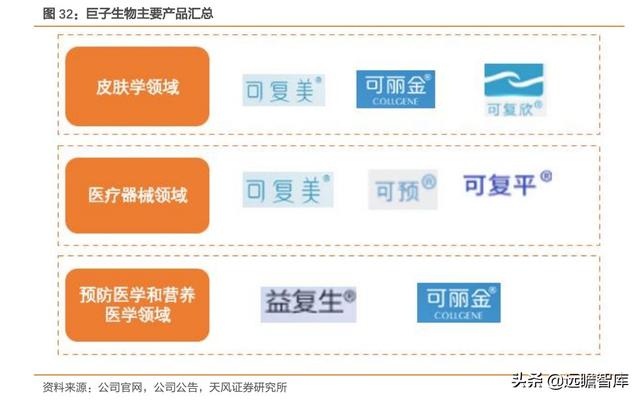 胶原蛋白肽前景，胶原蛋白在美丽和健康领域拥有广阔前景