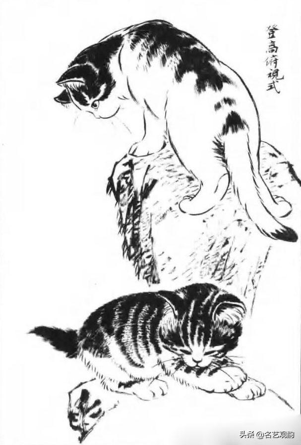 100种小猫怎么画，100种画真猫的画法（教你在纸上养个主子）