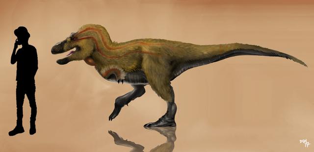 十大肉食恐龙谁是恐龙之王，比同时代的霸王龙还凶猛