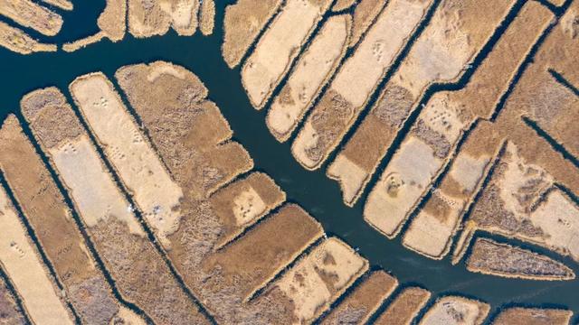 白洋淀冬天的生活，只有60来岁的人才会做……