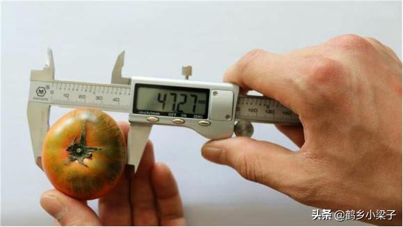 如何辨别正宗西红柿，教你几个挑西红柿的小技巧