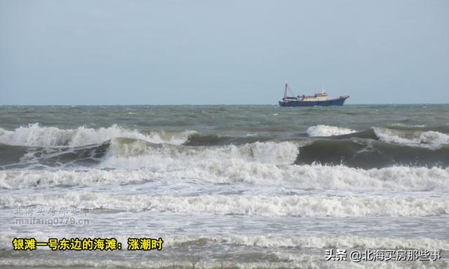 北海看潮汐表赶海，北海本地人外地人都需要的看海神器